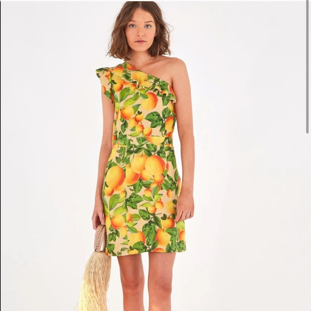 NWT Farm Rio dress